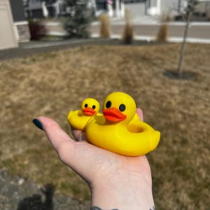 May include: Two yellow rubber duck toys with orange beaks and black eyes. One duck is larger than the other. The ducks are held in a hand against a blurred outdoor background.
