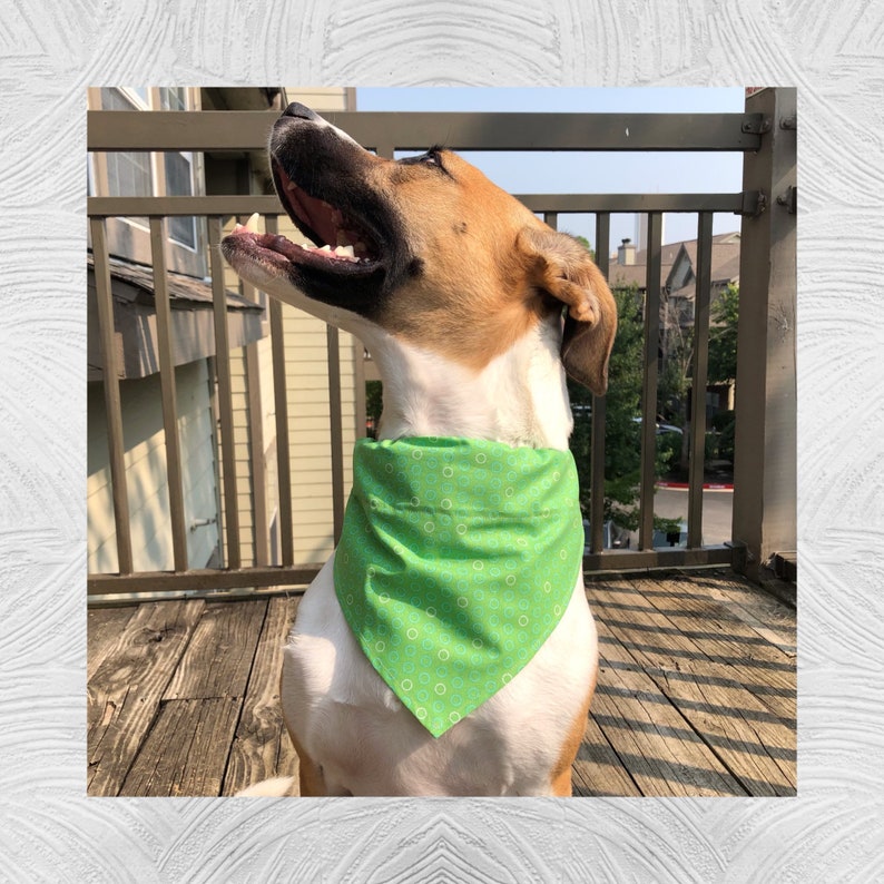 Personalized Over the Collar Dog Bandana Onesided Slide on Etsy