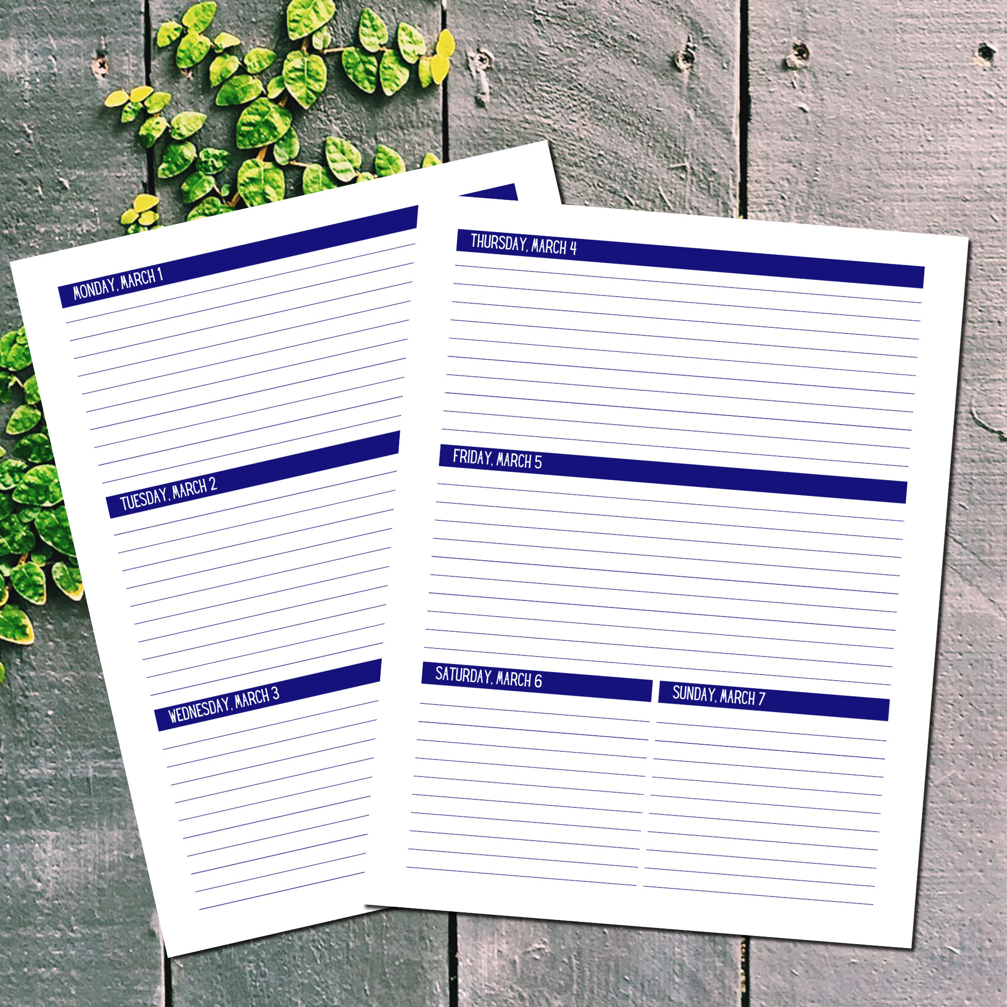 Discbound 2021 Weekly Planner refill pages with monthly and Etsy