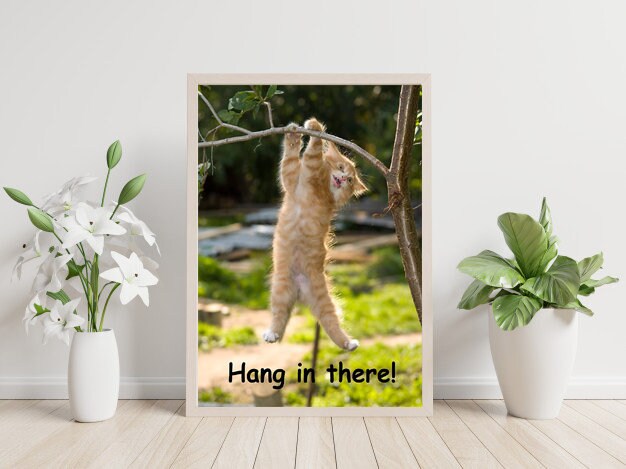 Hang In There Cat Poster Vintage Hang in There Poster | Etsy