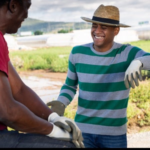 BLACK OWNED Coffee Roasters Sample Box Latin American Coffee Regions Clean and Bold Coffee BIPOC roasters Honduras, Mexico, Colombia image 7