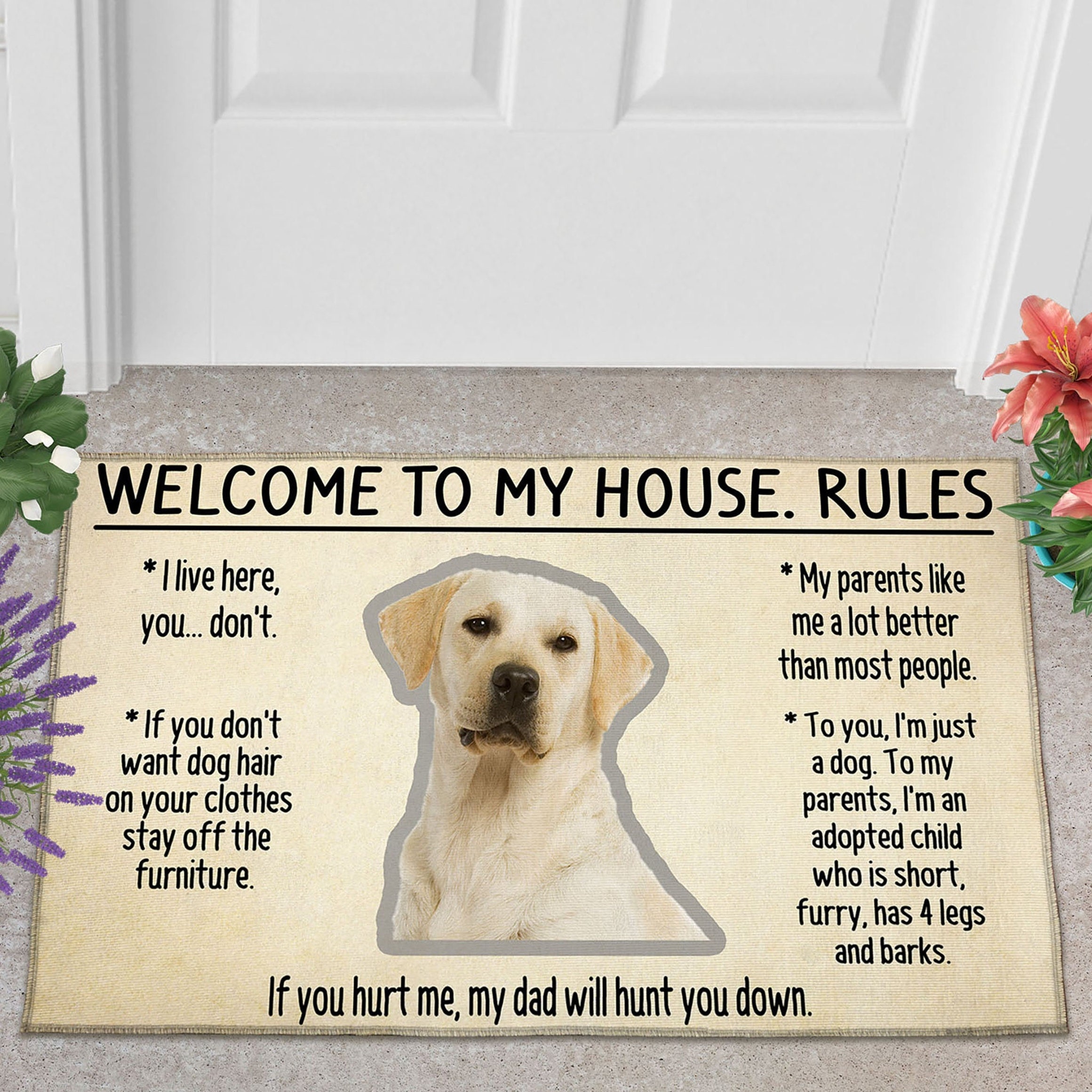 Can We Keep Labrador In An Apartment