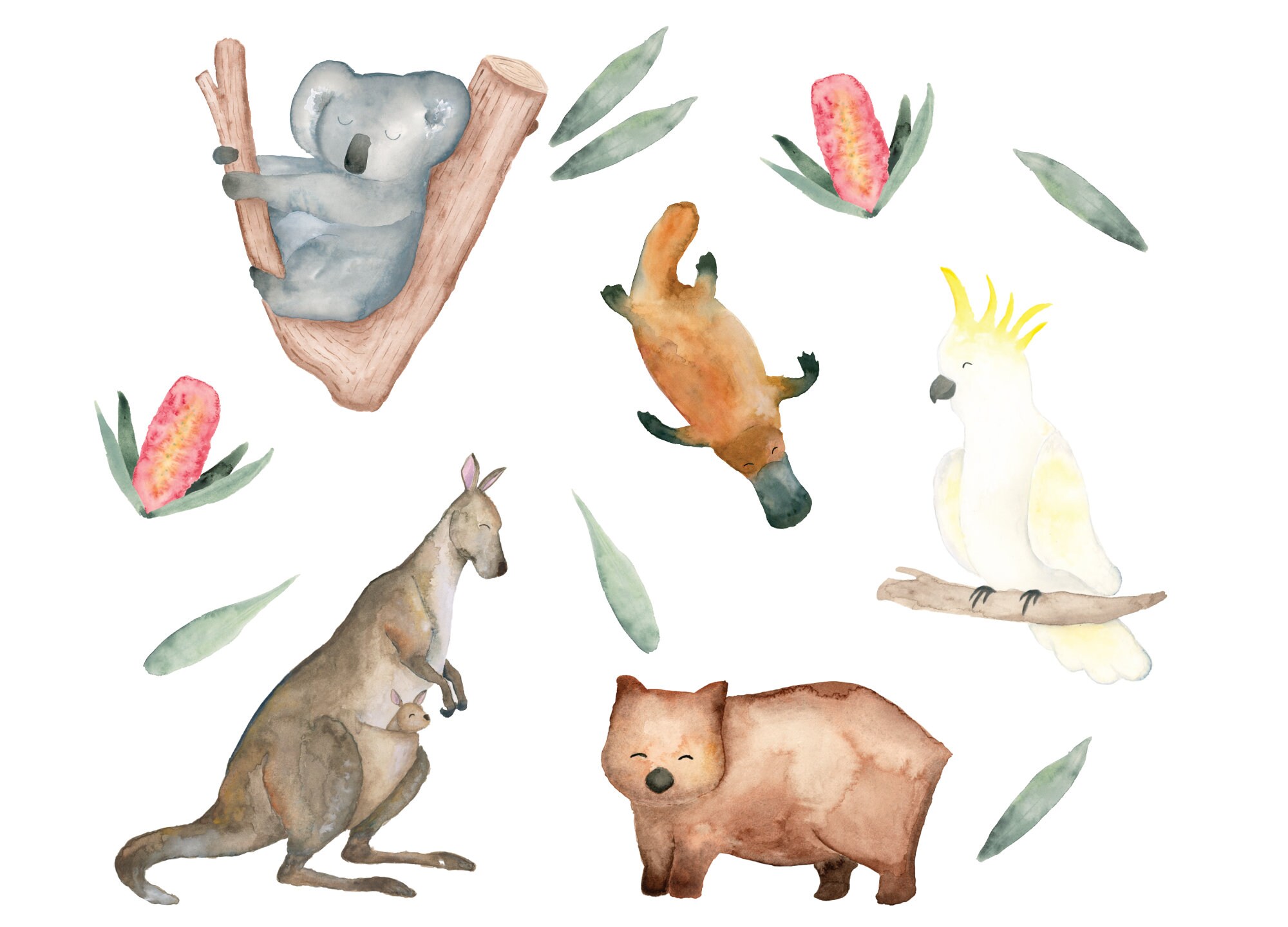 Australian Native Animal Wall Sticker Decals Wall Etsy
