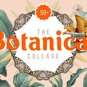 Botanical Collage Art Maker Elements