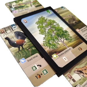 Könnte beinhalten: Eine Sammlung von illustrierten Spielkarten mit Naturszenen und Wildtieren. Die Karten zeigen Bilder eines Baumes, eines Vogels, eines Kaninchens und eines Frosches. Ein schwarzer Rahmen hält eine Karte, mit anderen Karten darum herum.