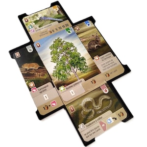 May include: A board game with cards depicting a dragonfly, a tree, a rabbit, a snake, and a vole. The cards have French text, including "Orthetrum bleuissant" and "Bouleau pubescent". The game is on a white background.