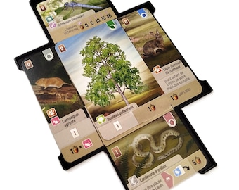 Placement grids compatible with Mixed Forest and Dartmoor Mixed Forest
