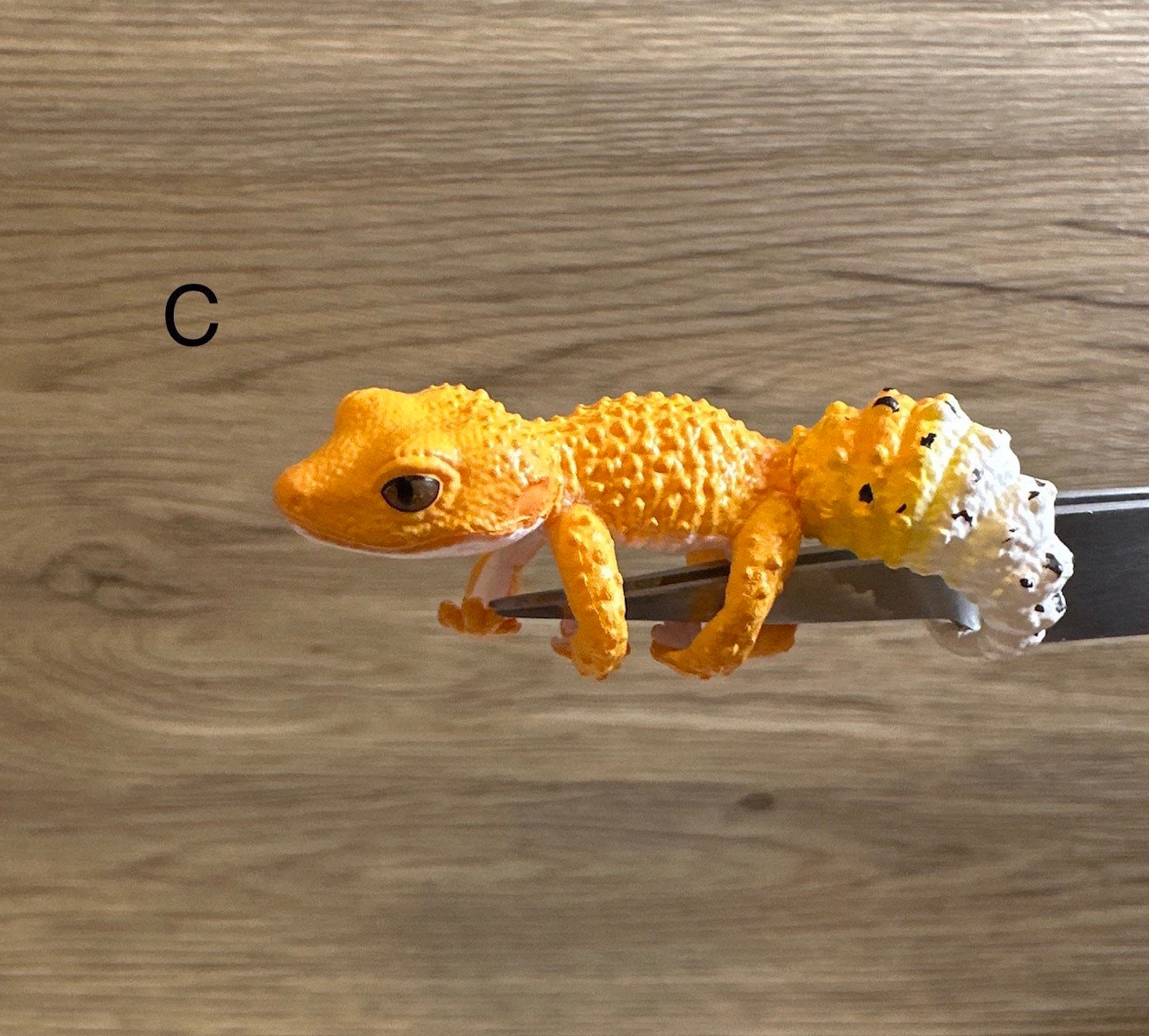 Gecko as a pet for best sale a kid