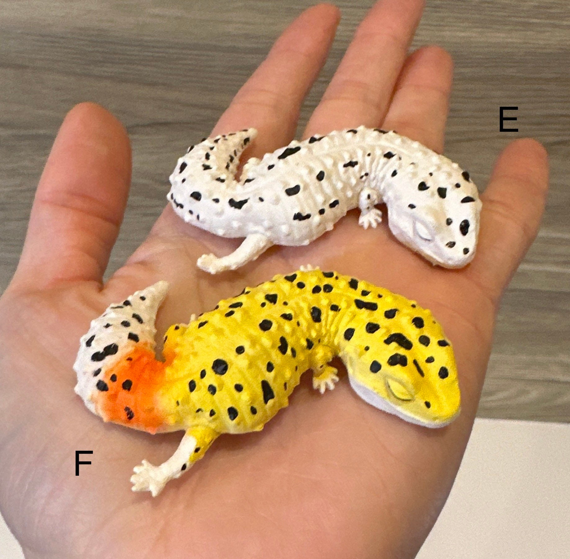 Mini leopard gecko clearance toy