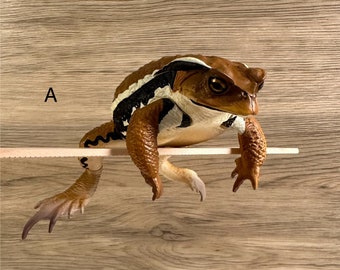 Miniature Japanese Azuma Toad Big Frog Animals Figurines Novelty Gift