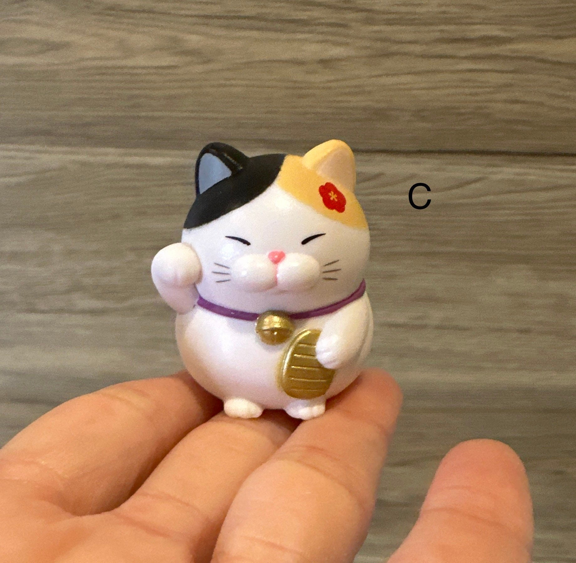 Kuromame cat top