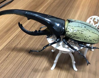 1:1 Miniature Hercules Insect Beetle Figurine Model Novelty Gift