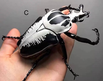 Miniature Life Size 1:1 Goliath beetle Goliathus Regius Goliathus Casicus Insect Figure model Novelty Gift