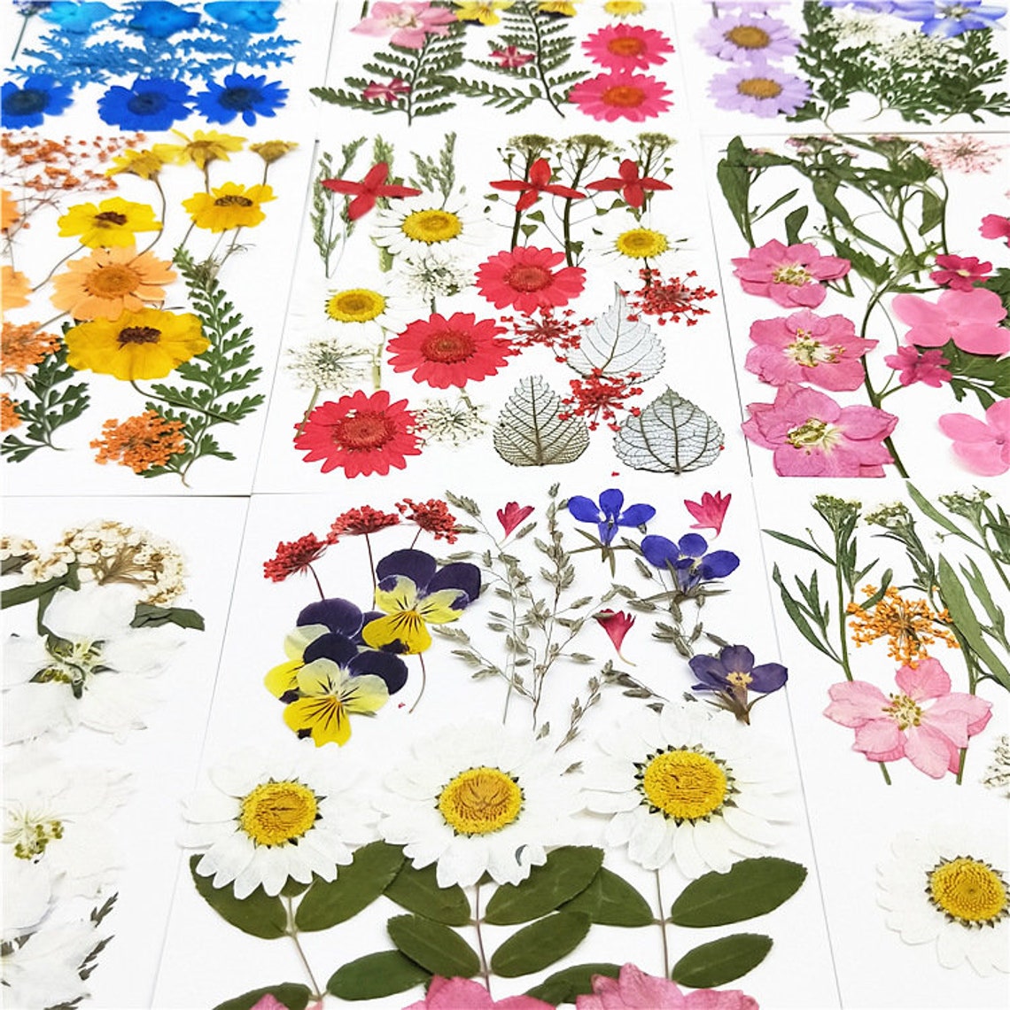 Real flower pressed flower stickers face decoration eye corner Etsy