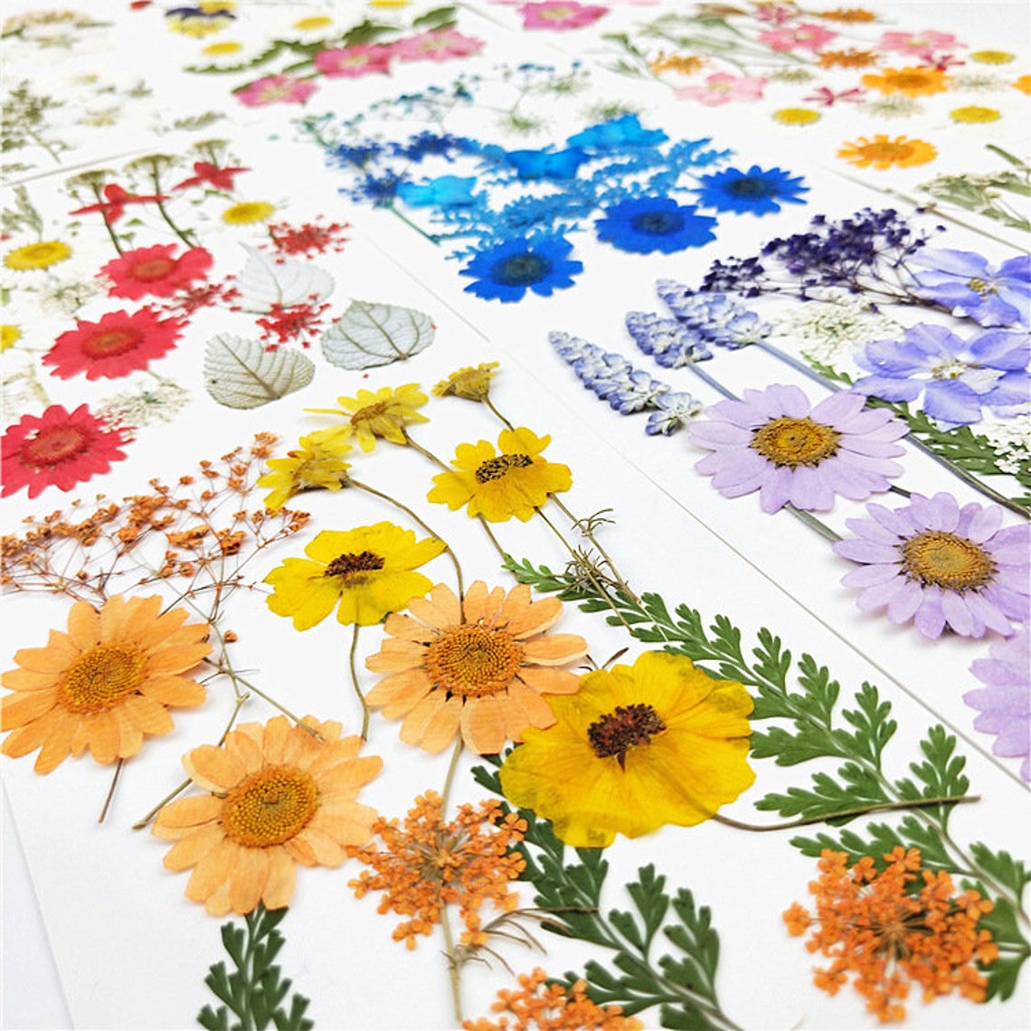 Real flower pressed flower stickers face decoration eye corner Etsy
