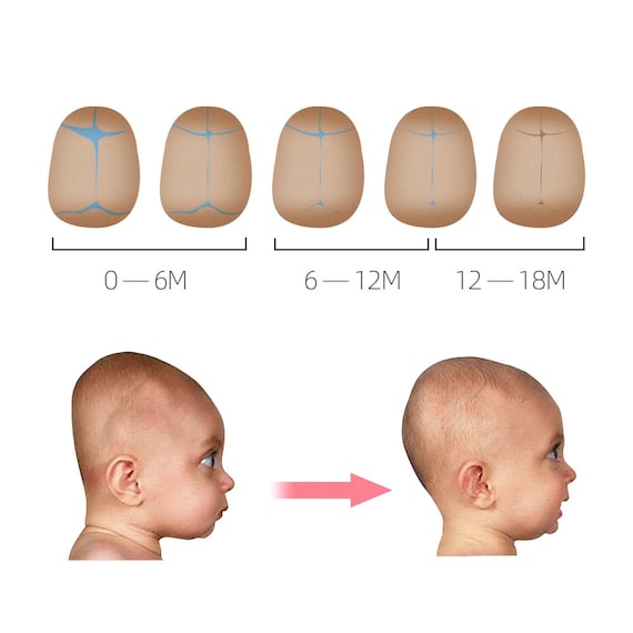 Lot de 2 oreillers en coton prévention de la tête plate bébé nourrisson  nouveau-né Pillo rond Concav soutien doux bébé oreiller nouveau-né oreiller  soutien de la tête -  France