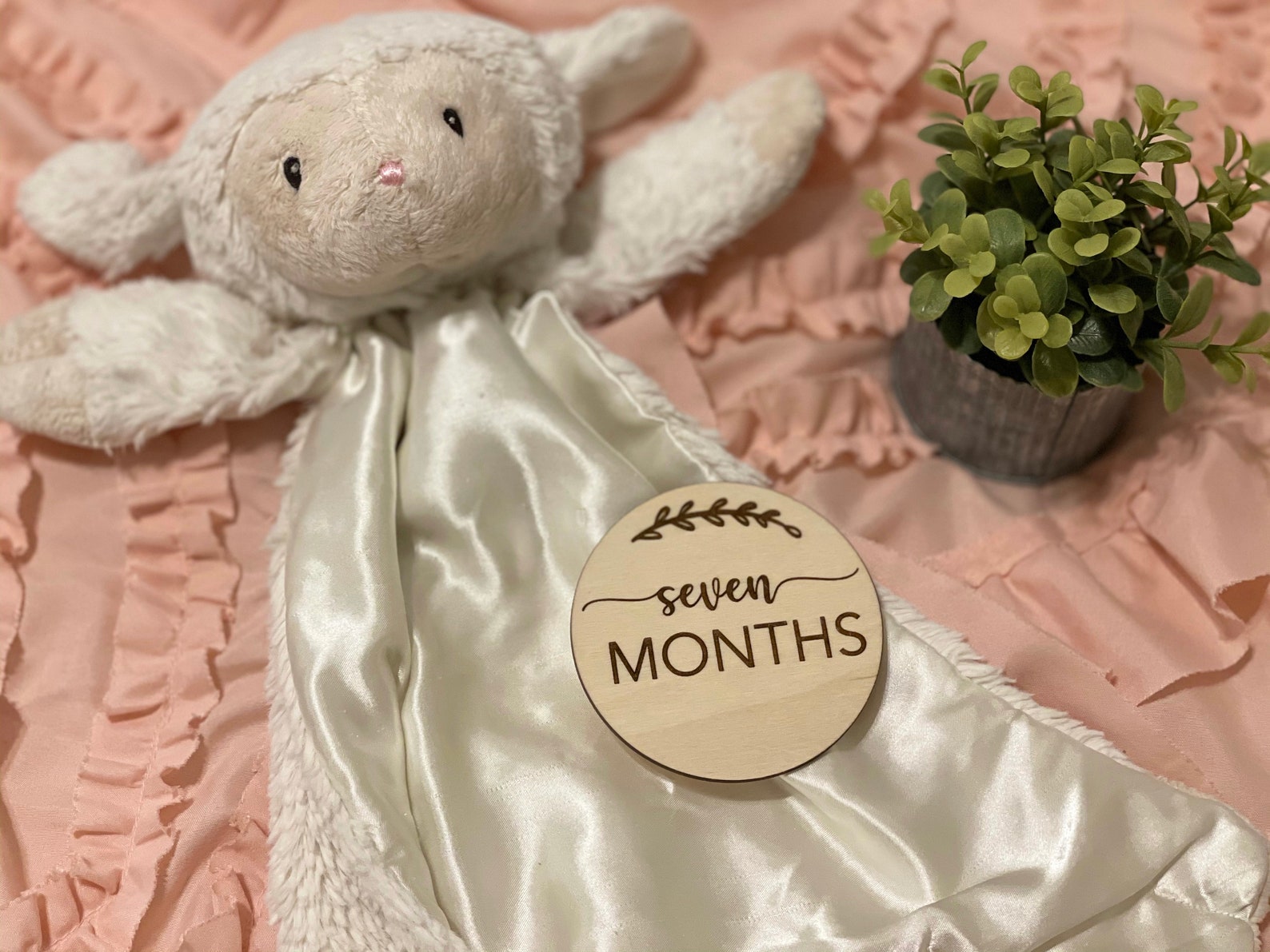 Baby Milestone SVG Monthly Milestone for Baby Cut File | Etsy