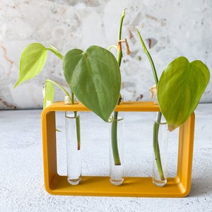 Observation Station - Triple Propagation Planter (3 glass tubes included)