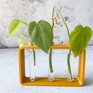 Observation Station - Triple Propagation Planter (3 glass tubes included)