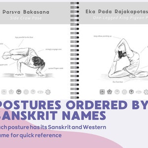 Digital Yoga Guide: Illustrated Sanskrit Poses, Personalised Adjustments, Ideal for Practitioners and Yoga Enthusiasts Gift