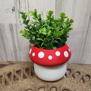 Mushroom planter pot/Desktop planter