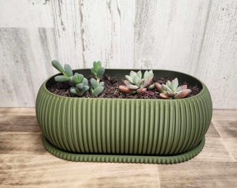 3D Printed Succulent Planter with Drainage Tray, Indoor Planter