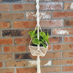 May include: A macrame plant hanger with a wooden ring at the top and a woven basket holding a green plant with variegated leaves. The hanger is suspended against a brick wall.