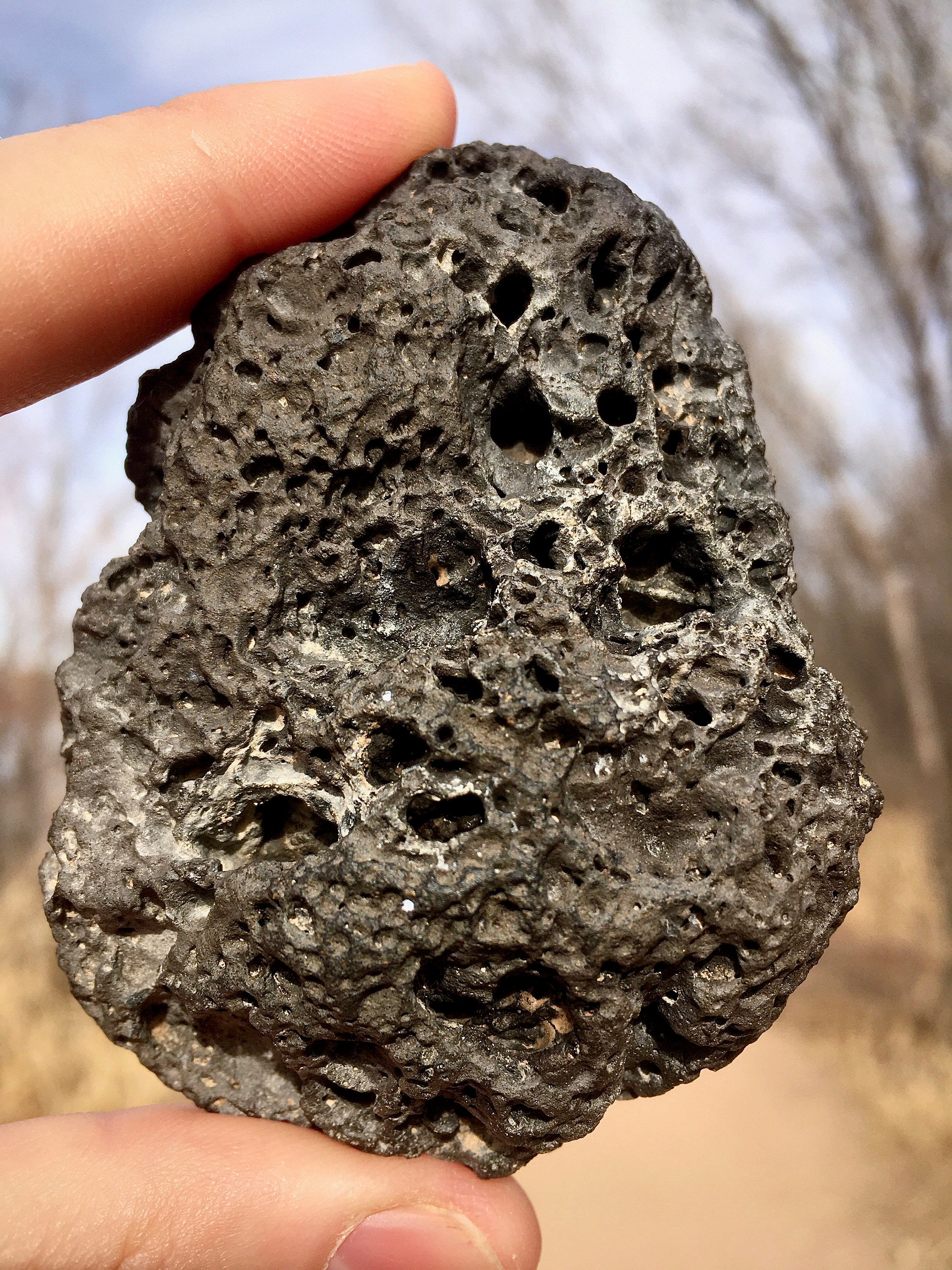 Set Basalt 2 Especímenes Lava Rock de Nuevo Etsy