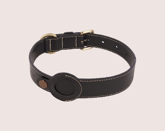Dog Collar With AIR TAG & LEASH