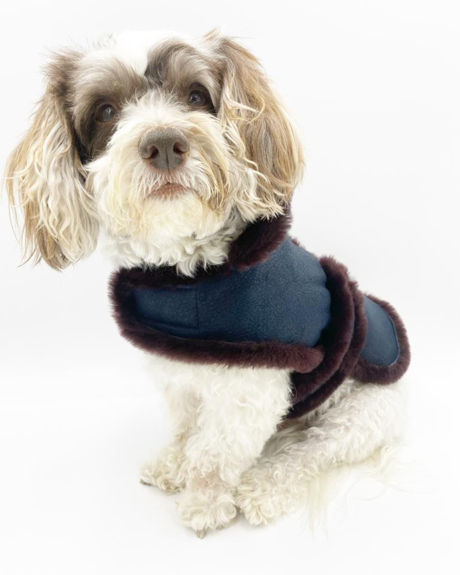 Shearling Dog Coat Etsy