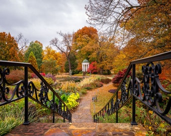Tulsa Oklahoma Wall Art Philbrook Museum; Midtown Tulsa; Architecture; Fall Colors; Autumn; Serenity; Peaceful Escape and Relaxing Landscape