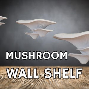 Mushroom Floating Shelf: Cottagecore Fairycore Wall Decor