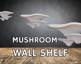 Mushroom Floating Shelf: Cottagecore Fairycore Wall Decor