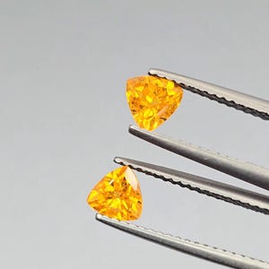 Könnte beinhalten: Zwei dreieckige, leuchtend orangefarbene Edelsteine werden von einer silbernen Pinzette vor einem hellgrauen Hintergrund gehalten. Die Edelsteine haben einen brillanten, facettierten Schliff, der ihre innere Struktur und Farbe zeigt.