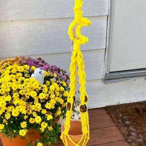 May include: A yellow macrame plant hanger with brown wooden beads. The hanger is holding a small terracotta pot.