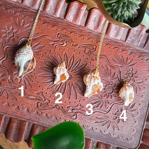May include: Four gold shell necklaces on a wooden surface with numbers 1 through 4 underneath each shell. The shells are different sizes and shapes.