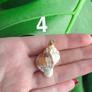 May include: A white seashell with brown stripes and a gold-colored metal loop attached to the top. The seashell is being held in a hand against a green leafy background. The number "4" is written in white above the seashell.