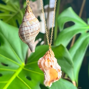 Shell charm gold necklace beach jewelry antique necklace large shell ocean pendant seashell natural conch vintage jewelry