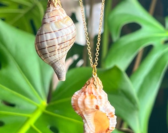 Puede incluir: Dos collares de oro con colgantes de conchas marinas. El colgante superior es una concha marrón y blanca con forma de espiral. El colgante inferior es una concha rosa y blanca con una forma más redondeada.