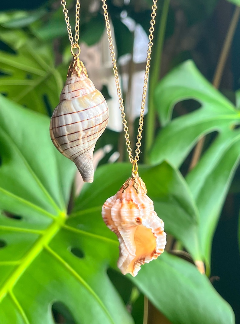 May include: Two gold necklaces with seashell pendants. The top pendant is a brown and white seashell with a spiral shape. The bottom pendant is a pink and white seashell with a more rounded shape.