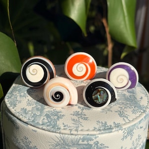 Op de afbeelding: Een verzameling van zes decoratieve kastknoppen met een schelpmotief. De knoppen hebben verschillende kleuren, waaronder zwart, wit, oranje en paars. Elke knop heeft een uniek spiraalpatroon en is geplaatst op een witte basis.