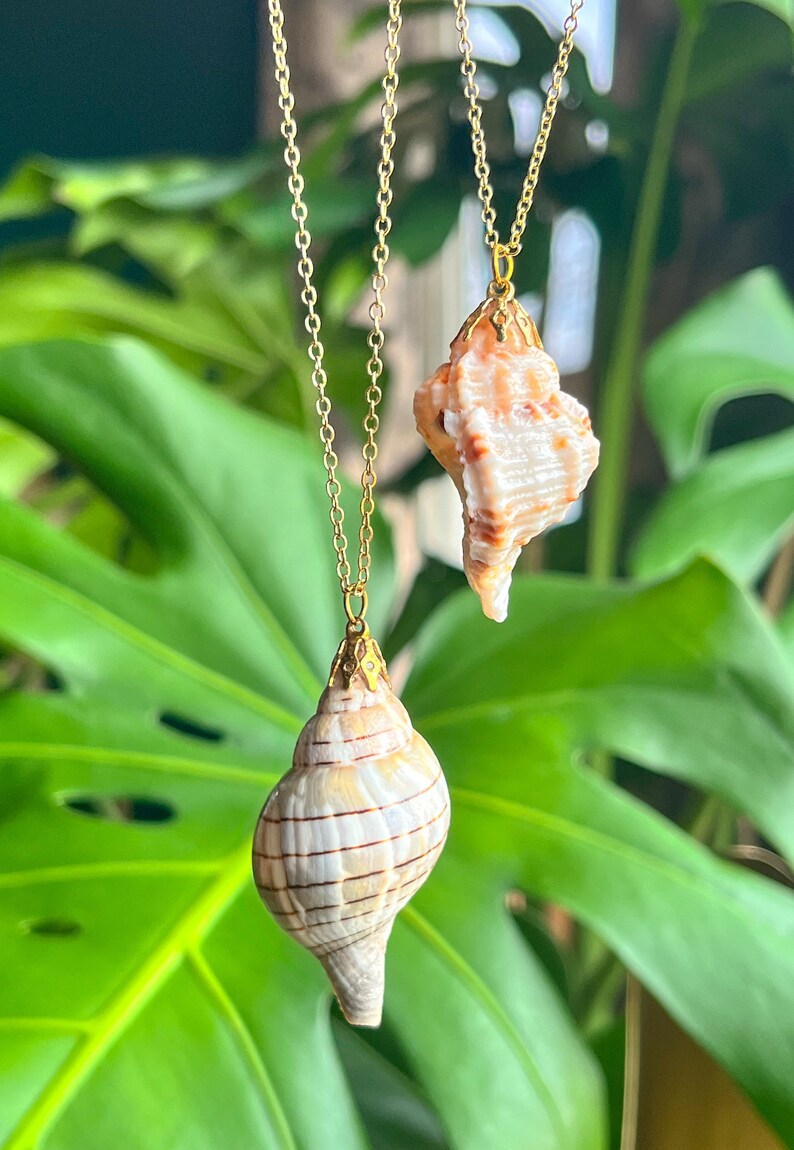 May include: Two gold necklaces with seashell pendants. The shells are different sizes and shapes, one is a spiral shell and the other is a more irregular shape. Both shells are a light brown color with white stripes.