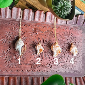 May include: Four gold necklaces with different seashell pendants on a wooden surface. The shells are numbered 1 through 4.