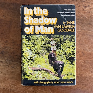 70s In the Shadow of Man by Jane Van Lawick-Goodall, HC/DJ, BCE, Gorilla Animals, Vintage 1971, Hugo Photos