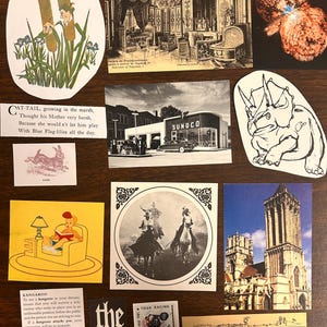 May include: A collage of images featuring a variety of subjects, including a cattail, a gas station, a rhinoceros, a kangaroo, a cowboy on horseback, a church, and a motorcycle. The images are arranged in a grid pattern on a wooden surface.
