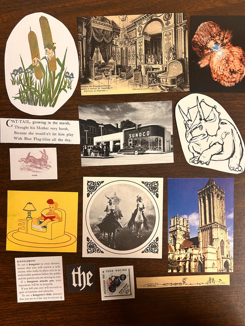 May include: A collage of images featuring a variety of subjects, including a cattail, a gas station, a rhinoceros, a kangaroo, a cowboy on horseback, a church, and a motorcycle. The images are arranged in a grid pattern on a wooden surface.
