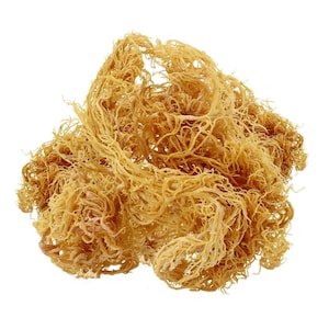 Golden Organic Sea Moss (Gracilaria)  Wild Crafted Dr Sebi Grade Jamaican 30g
