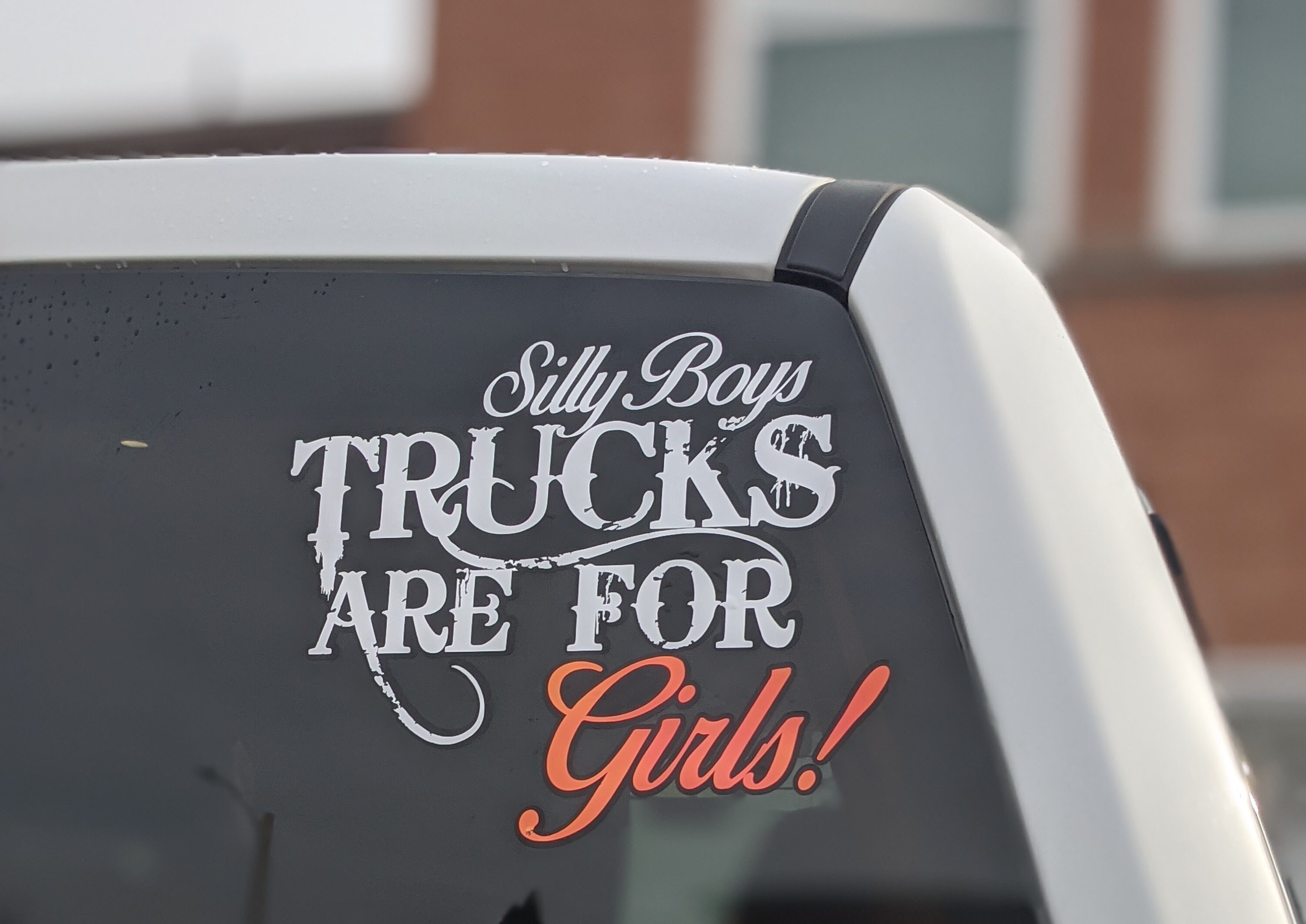 Girl on sale truck stickers