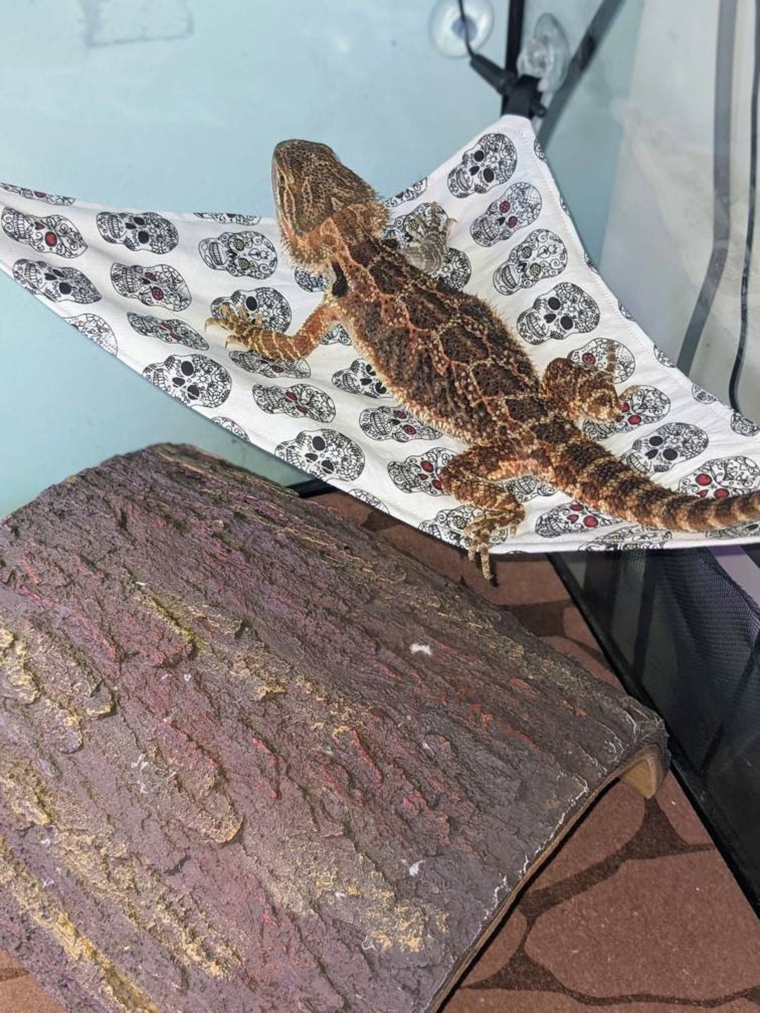 Small Reptile Hammock Bearded Dragon Hammock Basking Spot Lizard Hide