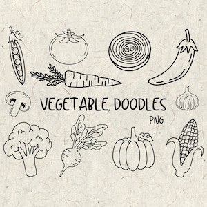 Griffonnages de légumes | Doodles végétariens dessinés à la main | PNG | Téléchargements numériques | Téléchargement de légumes | Produire des dessins au trait | Produire le téléchargement numérique